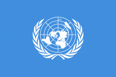 National Teams