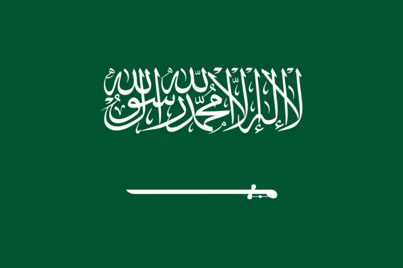 Saudi Pro League