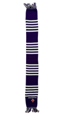 Sjaal Fiorentina