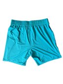 FC Utrecht 2023/24 Auswärtsshorts (L)