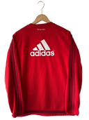 Bayern München 2015/16 Trainingstop (M)