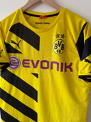 Borussia Dortmund Heimtrikot 2014/15 (M)