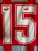 Red and gray striped football jersey with large number 15 graphic on front